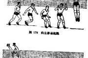 新手如何掌握排球发球动作要领（从零开始，轻松掌握排球发球技巧）