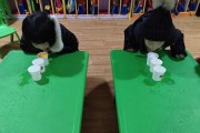 乒乓球技巧揭秘（乒乓球弹杯技巧解析，让你成为弹杯高手）