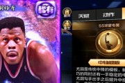 NBA钻石中锋篮板排行榜（探索篮球巨人中的篮板怪兽，感受他们的强大力量）