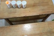 乒乓球投球杯子摆放的技巧（轻松掌握杯子摆放技巧，提升乒乓球投球的准确度）