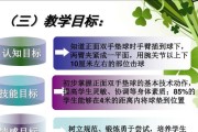 单人排球正面双手垫球的技巧与要领（掌握正确动作，提高垫球效果）
