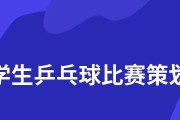 《乒乓球职业技巧书——掌握精湛技艺的秘籍》（职业乒乓球运动员的成功之路）