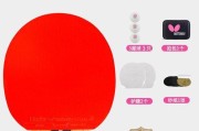 儿童蝴蝶乒乓球选购技巧（为孩子选择合适的蝴蝶乒乓球设备，让他们享受游戏乐趣）