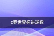 历史上的世界杯总进球数（揭示世界杯进球数背后的足球魅力与辉煌）