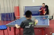 乒乓球技巧大揭秘，让你一击必中！（揭秘乒乓球高手的13个绝技，让你成为球场上的霸主！）