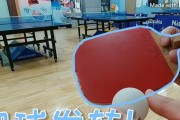 乒乓球发球技巧解析（掌握发球技巧提升乒乓球水平）