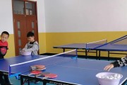 乒乓球单词记忆技巧（轻松学会乒乓球术语，成为乒乓球达人！）