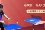 挥杆训练工具——提升乒乓球技术的利器（高效训练）