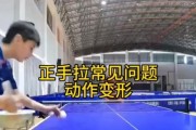 掌握乒乓球对拉球的技巧，提升比赛水平（击球力度、球拍控制、步伐移动、身体平衡等关键要素）