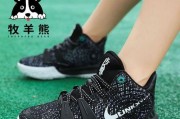系统性防守——打造7-12岁篮球少年的防守基本功（培养篮球少年的全面防守能力，夯实篮球基础）