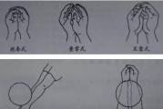 探索排球快攻的关键动作要领（揭秘排球快攻的技巧和战术策略）