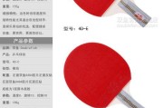 中国乒乓球配置要求的变革与进化（探索乒乓球运动发展的新路径，中国乒乓球出发！）