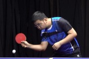 乒乓球拉球技巧大全（掌握拉球技巧，提高乒乓球水平）
